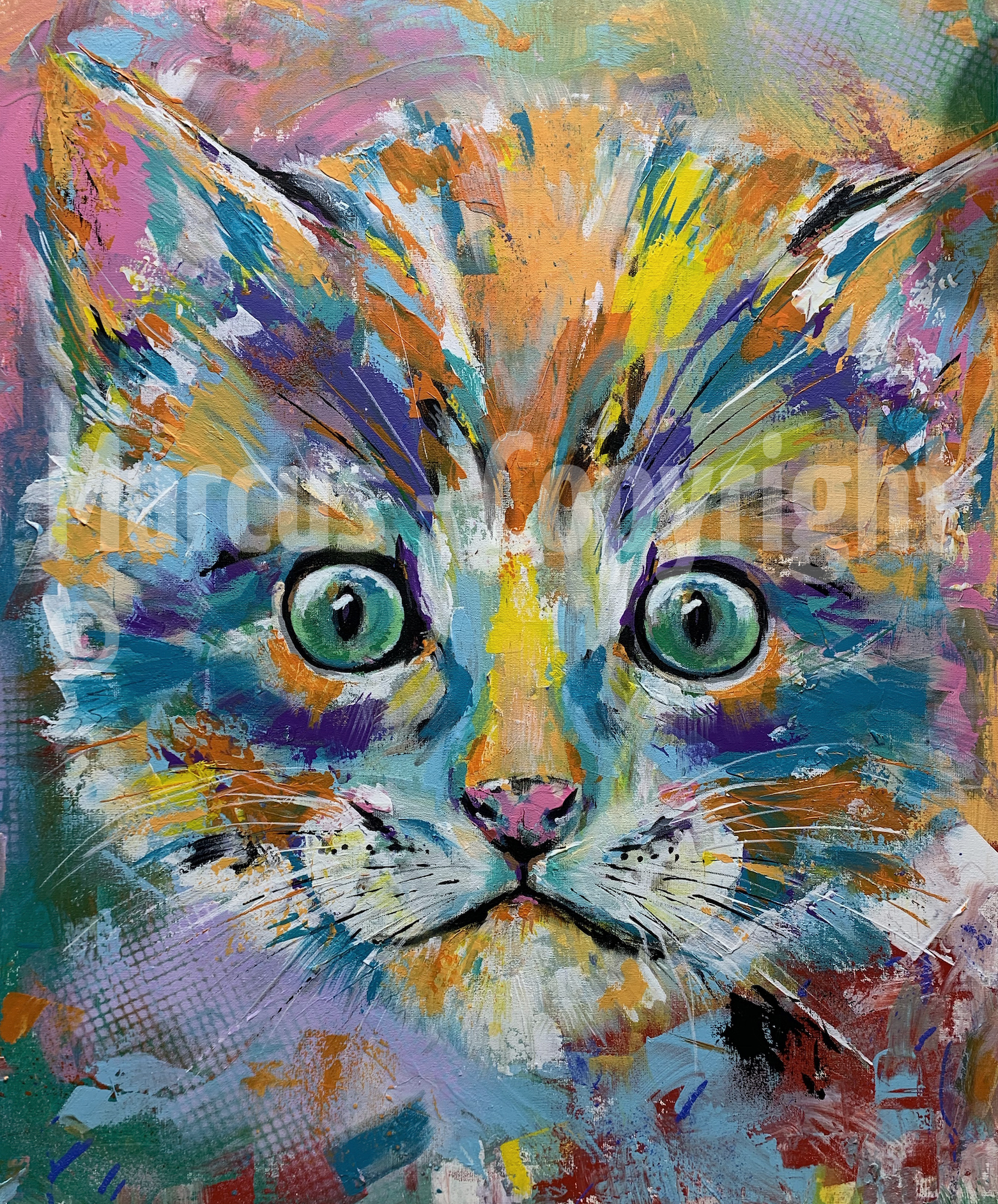 Kitten