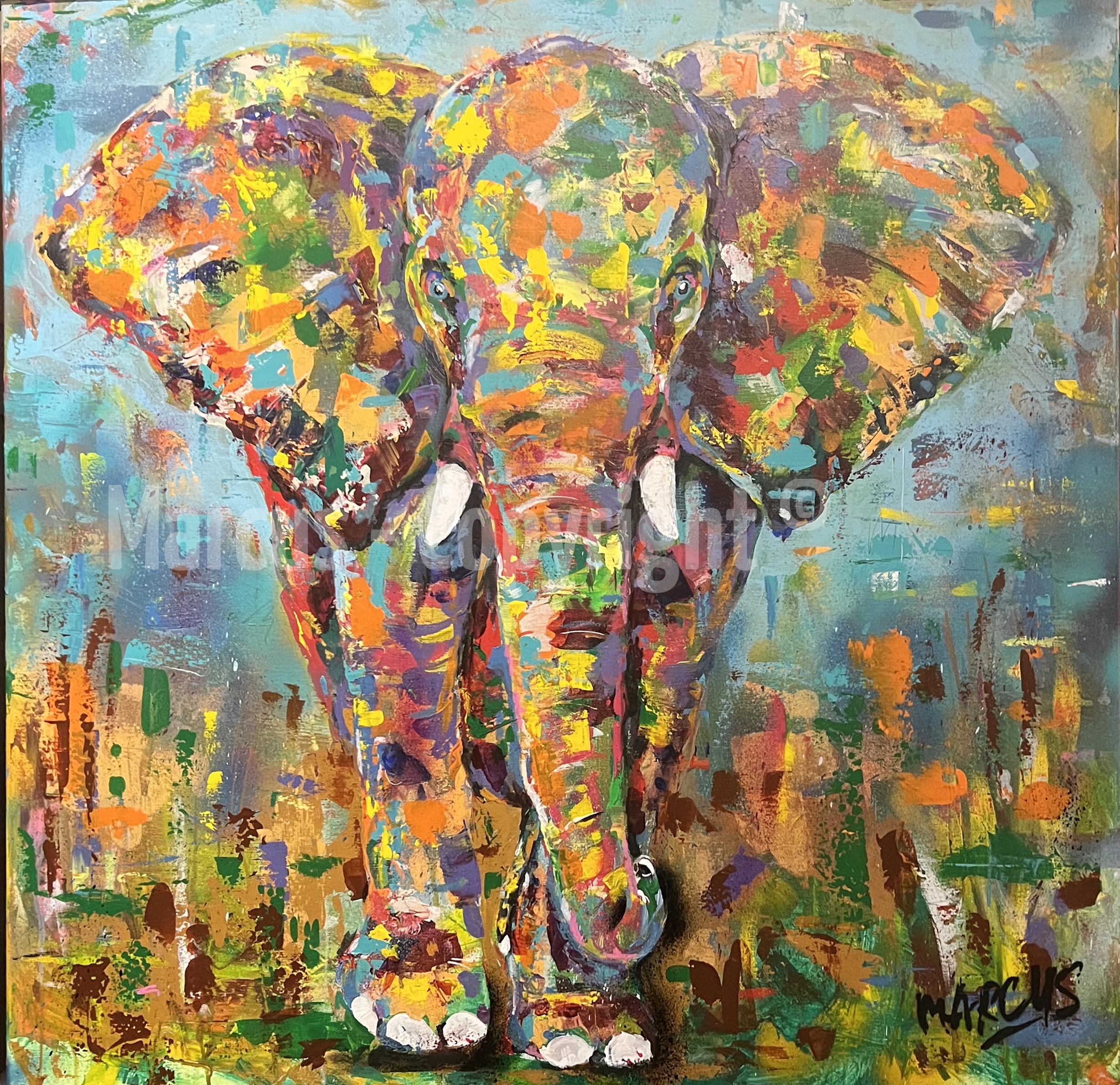 Zuid-Afrika-olifant