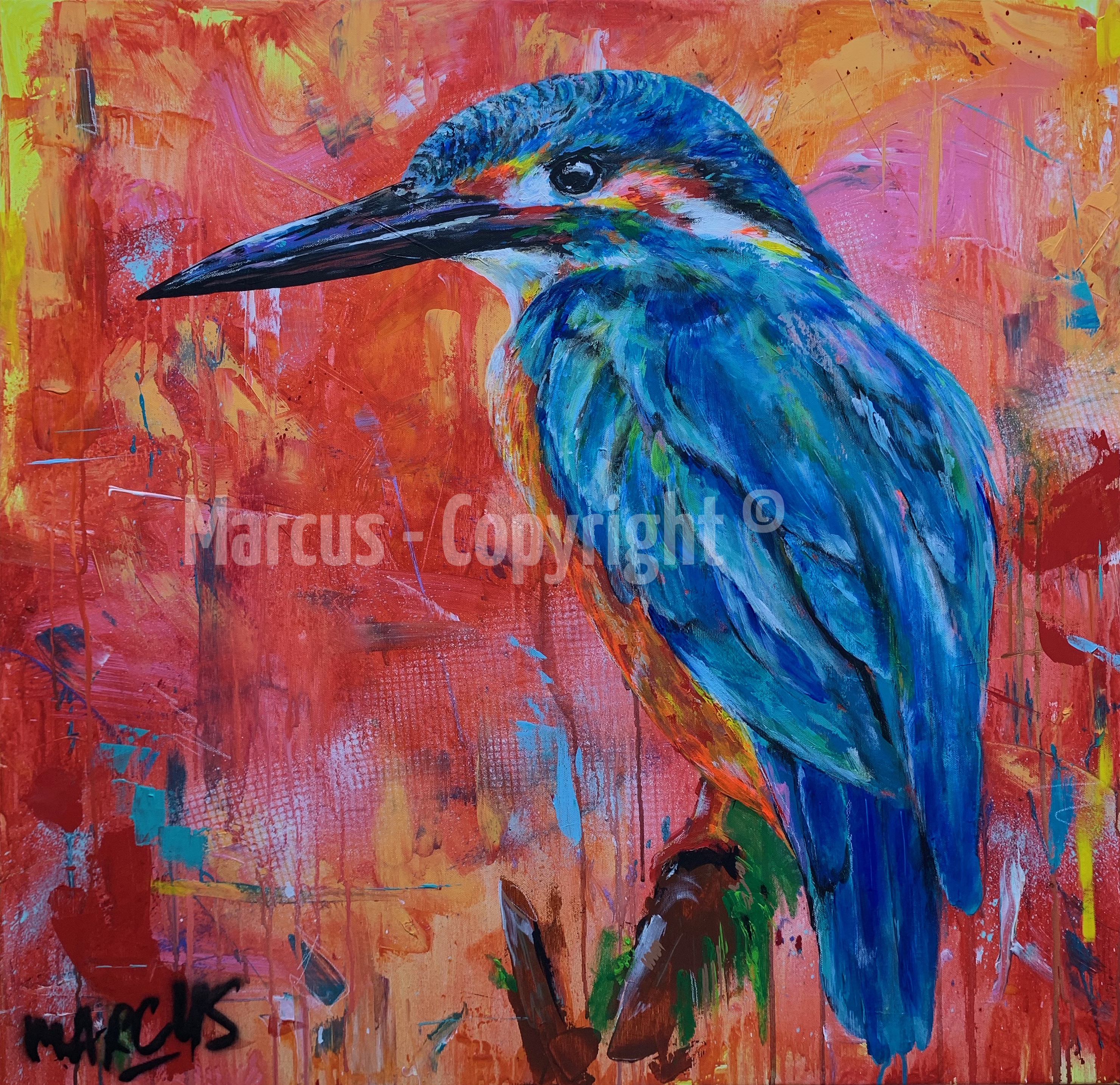 kingfisher